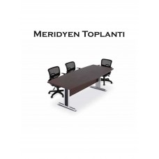 Meridyen Toplantı