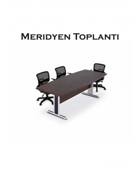 Meridyen Toplantı