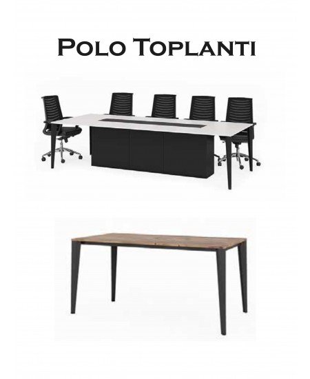 Polo Toplantı